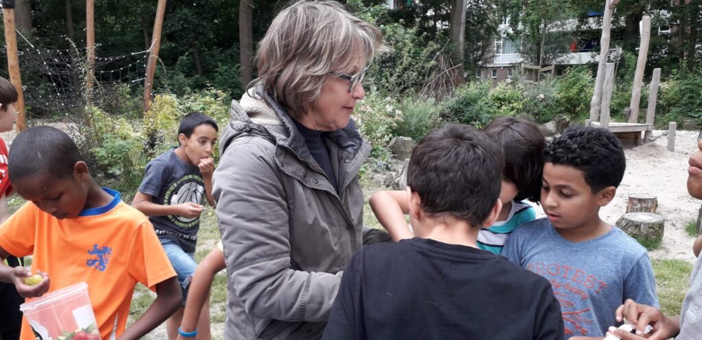 Activiteit juli 2019