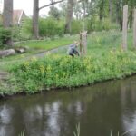 Water geven mei 2019